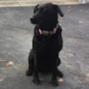 Meet your Posher, Cherie